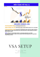 VSAsetup Dai.alan.pdf